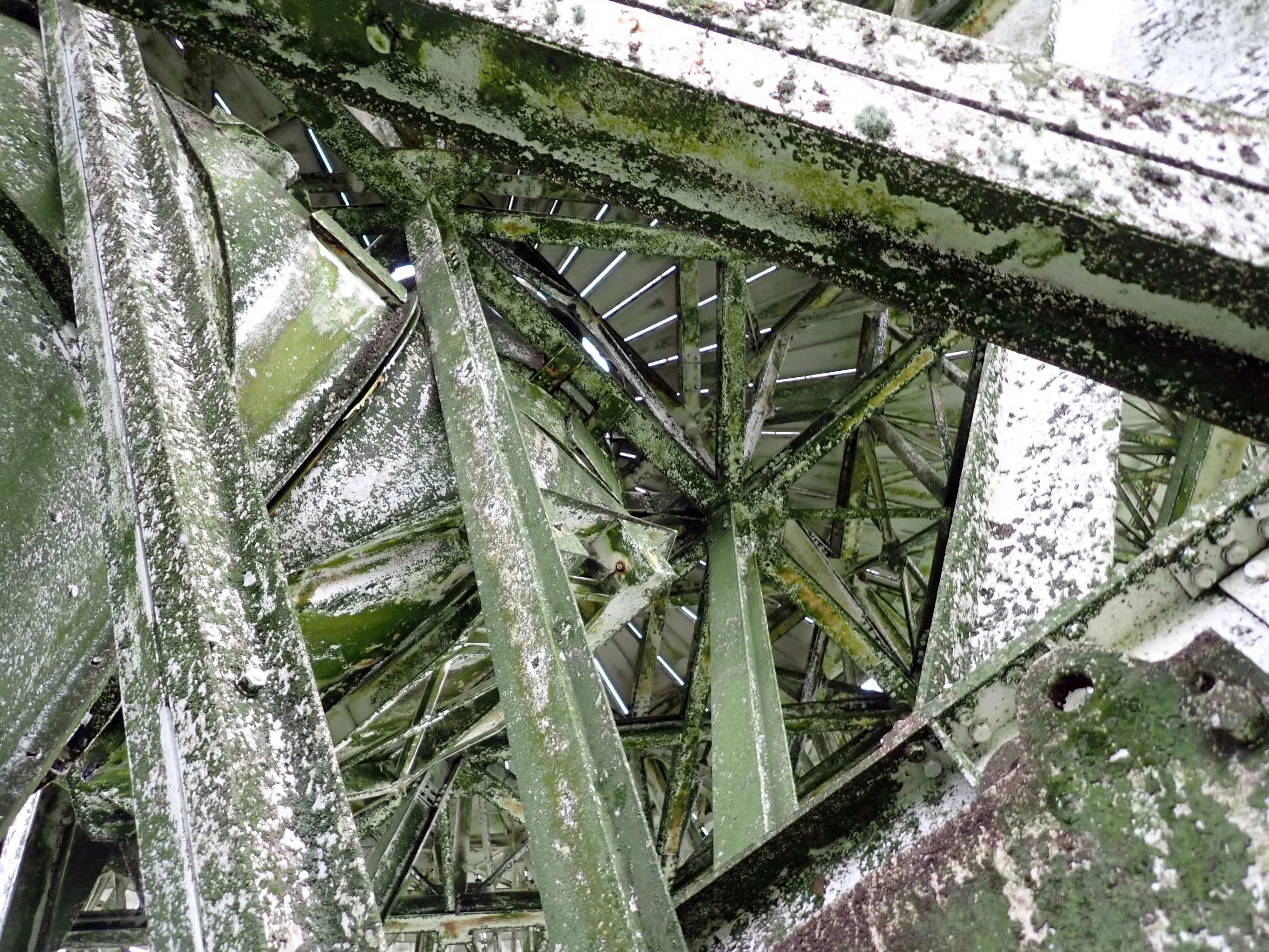 2025-12-08_15.54.03_175.JPG (4000x3000)