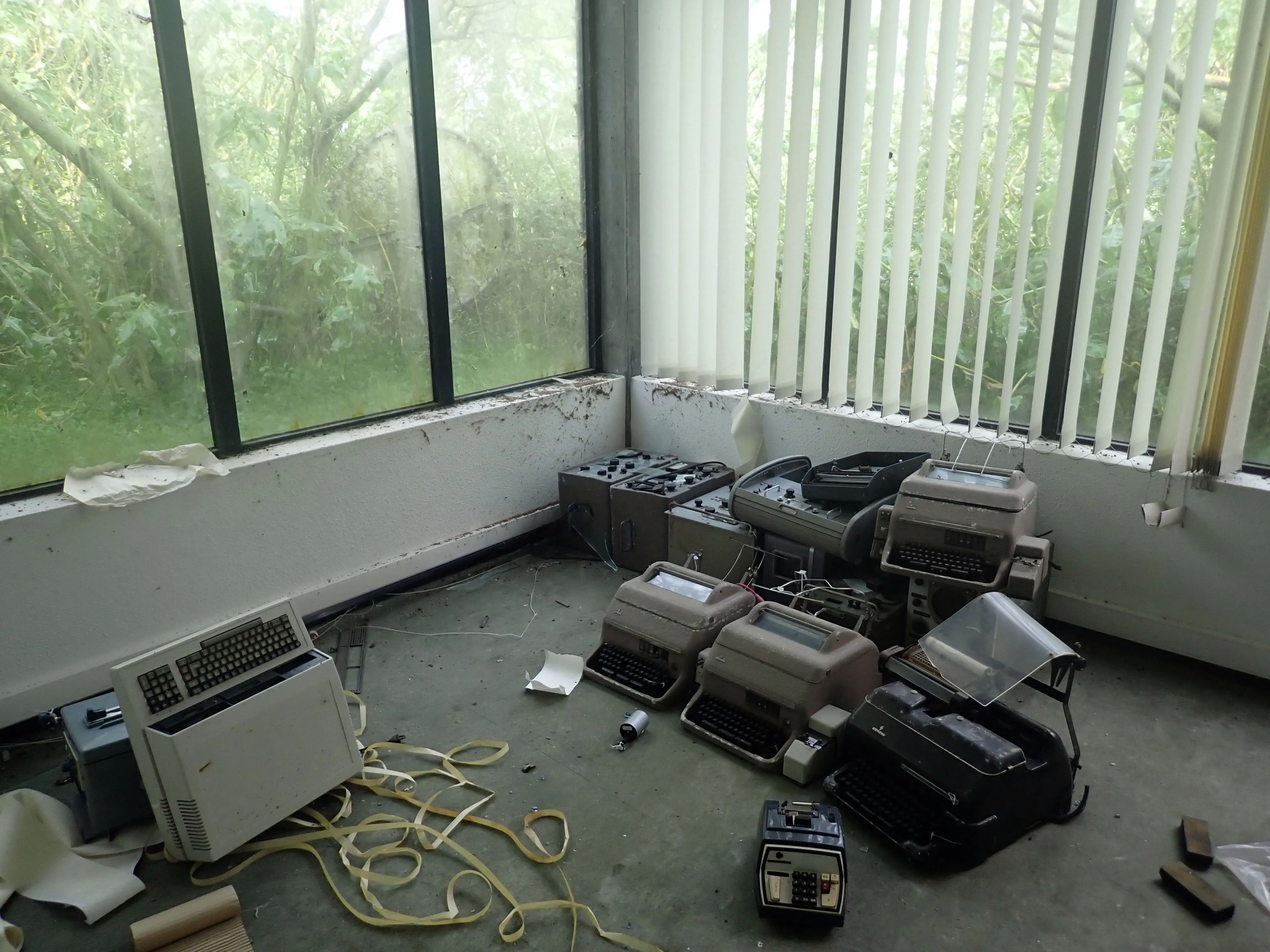 2025-12-08_17.06.22_336.JPG (4000x3000)